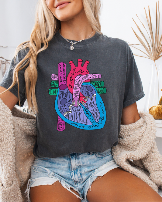 Anatomy of the Heart